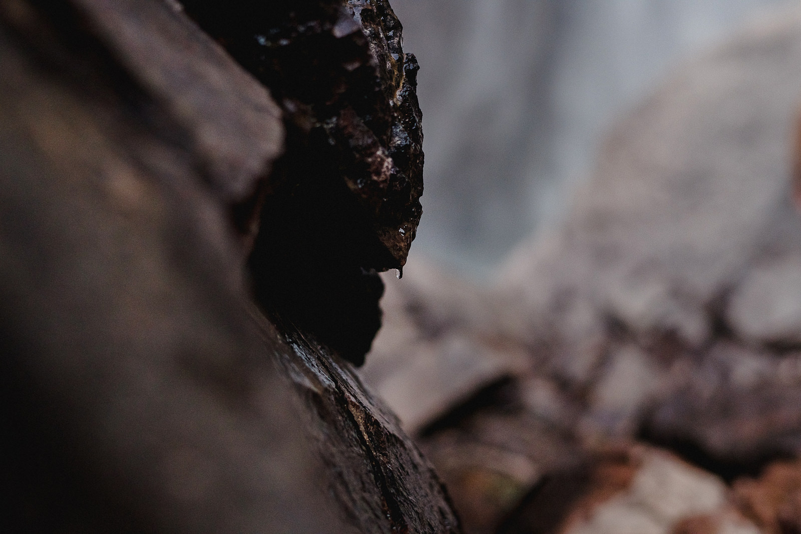 Cascada de Basaseachi