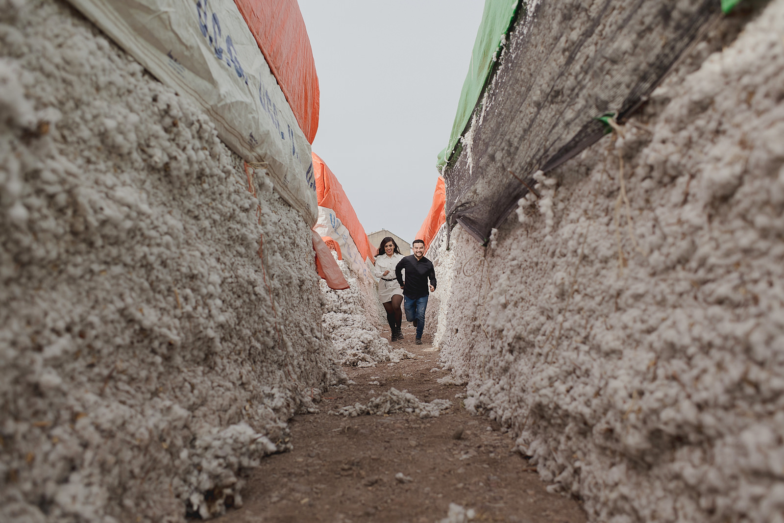 Sesion casual Chihuahua