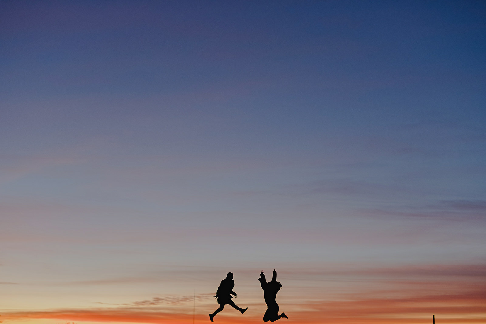 Sesion Casual Chihuahua